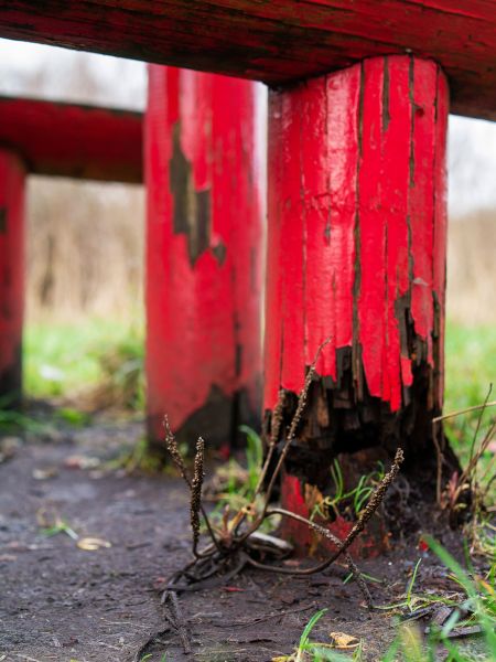 Rotten Column Replacement in Independence
